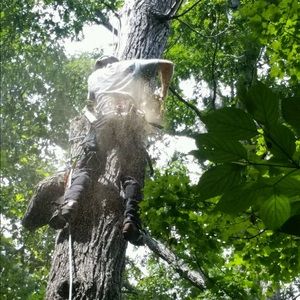 Meet your Posher, Kaleb